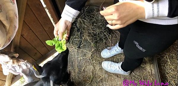  Milf non resiste alla voglia di succhiare un bel cazzone per berne tutto il succo